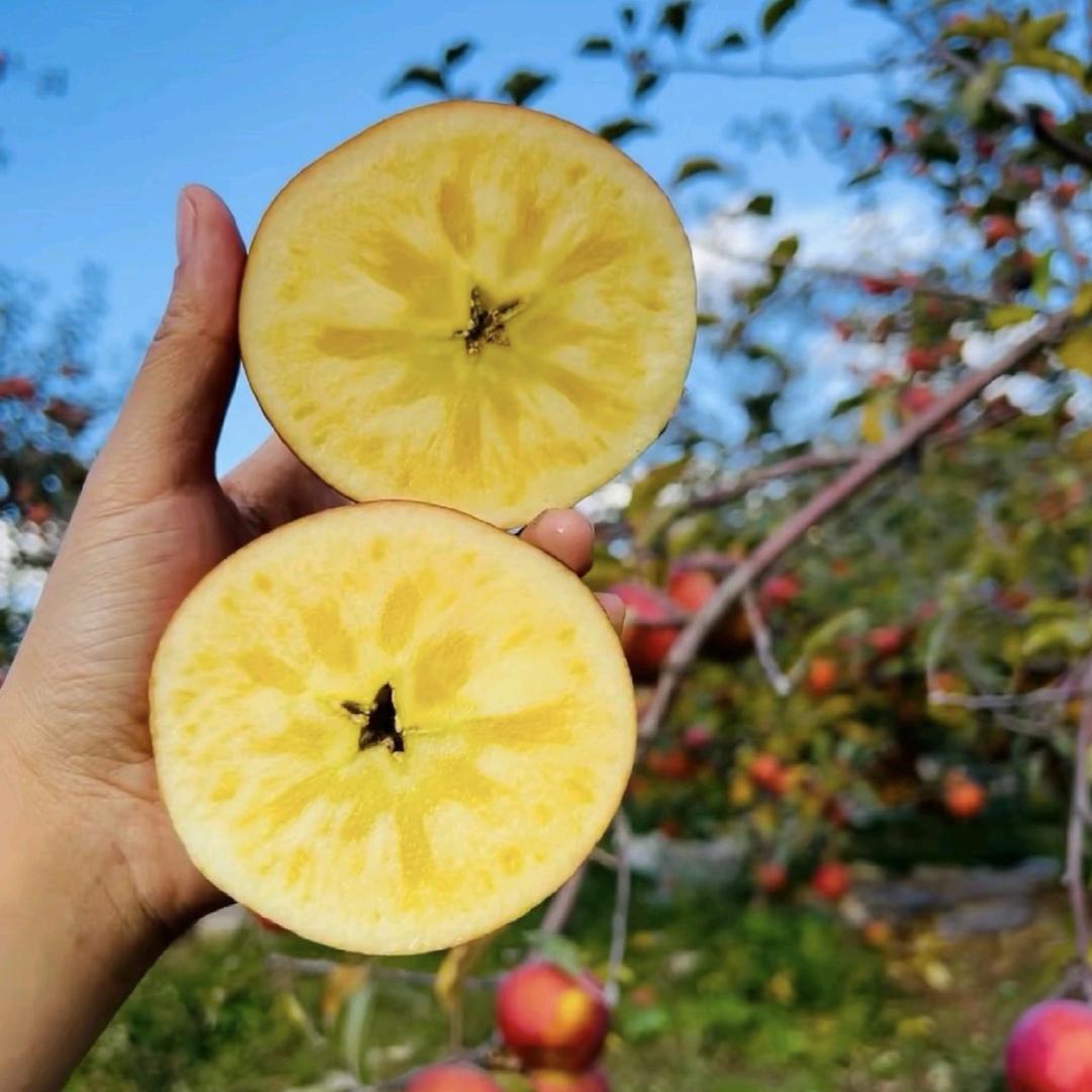 苹果甜秘密