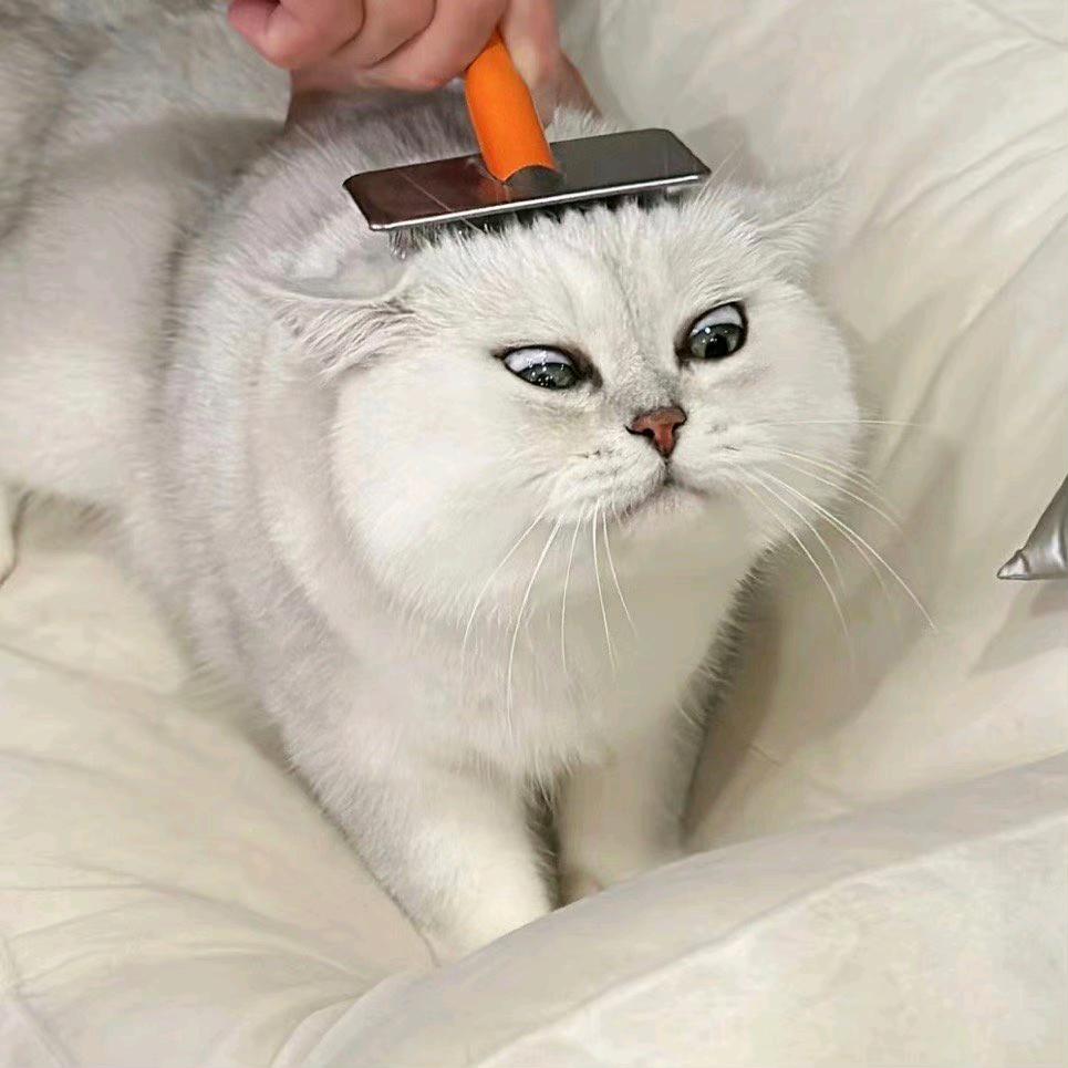 Pisco（返图版）