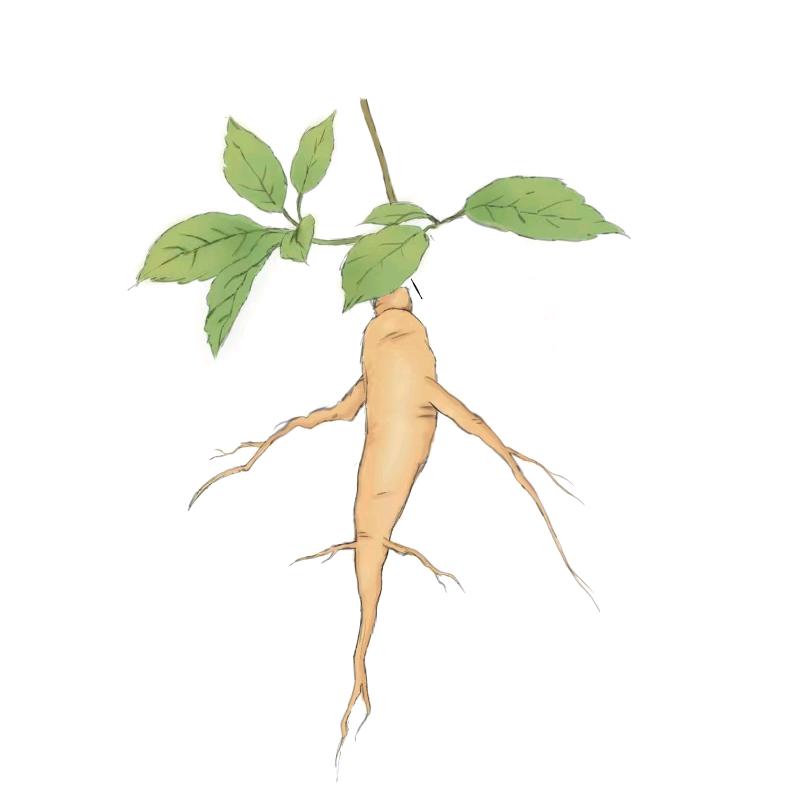 本草青年
