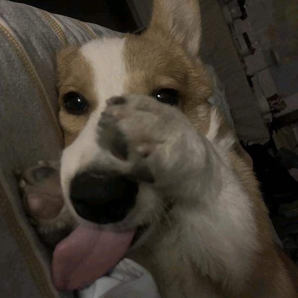 -.-