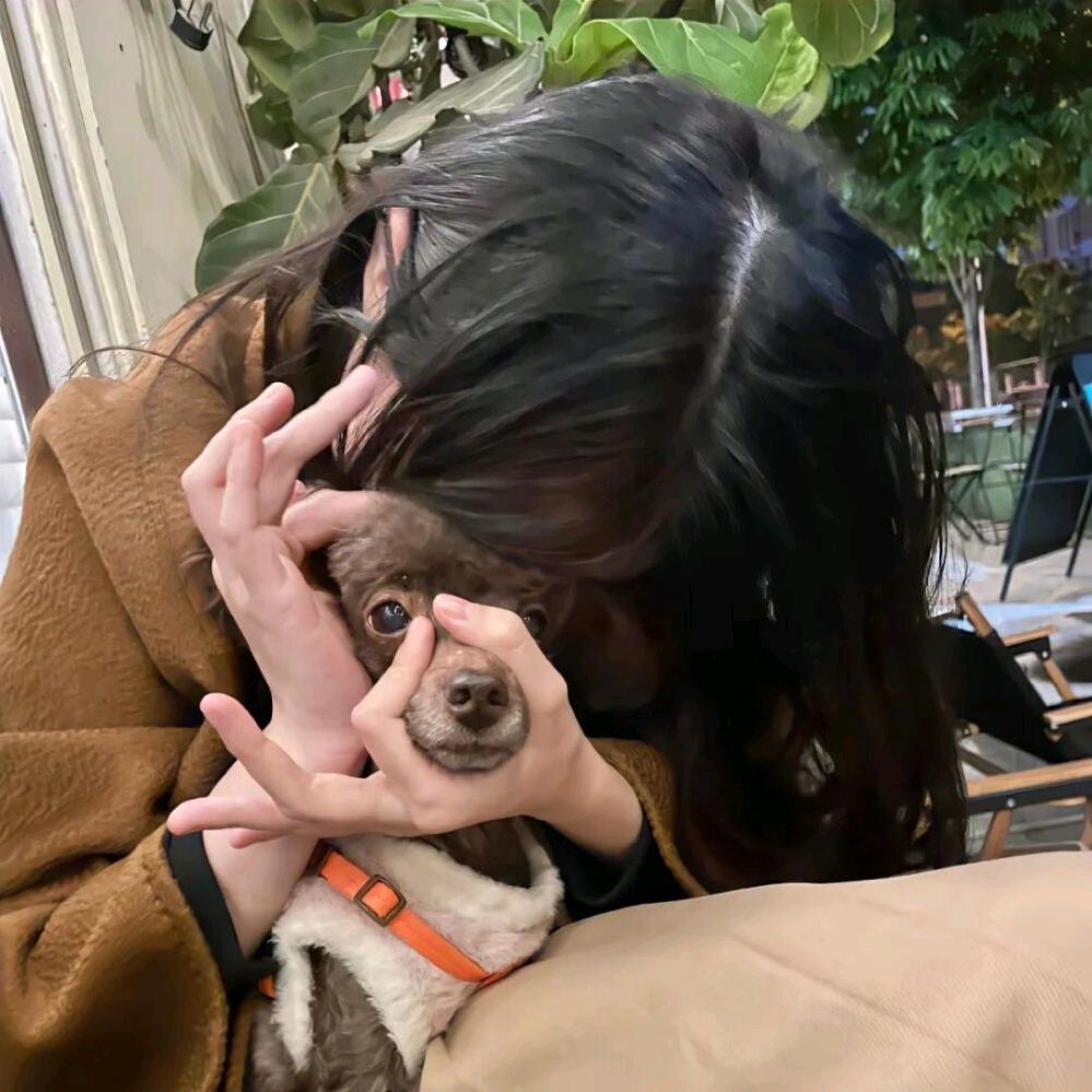 发圈不见了_