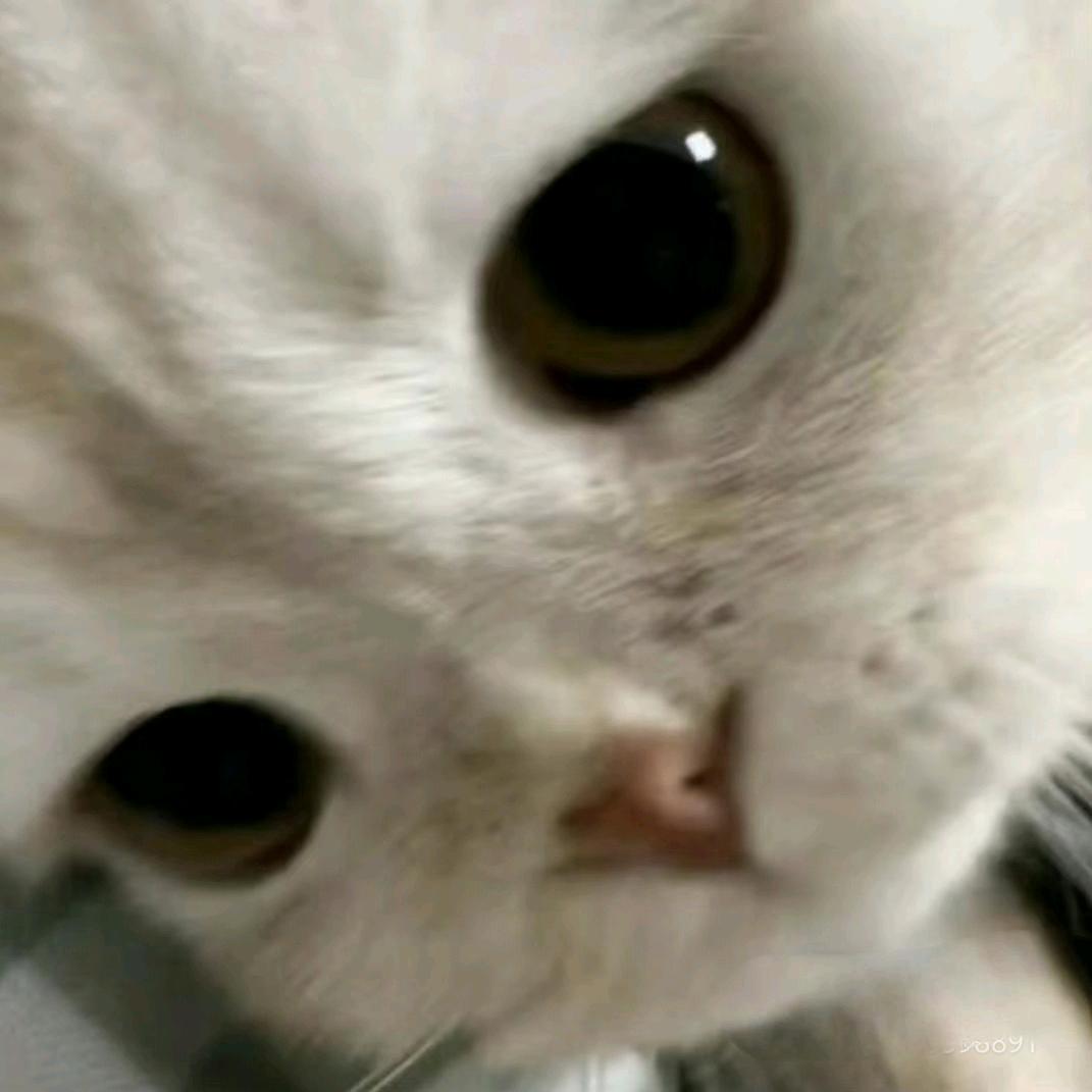炸酱面-