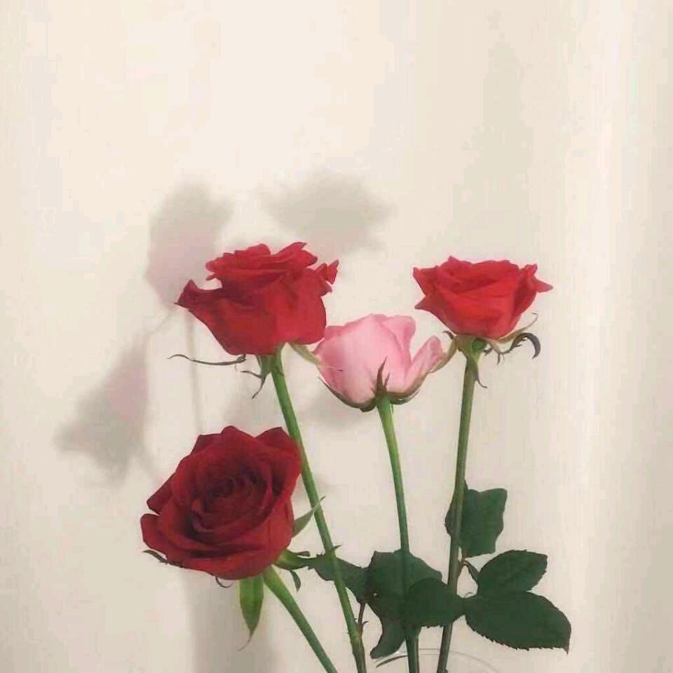 燕。