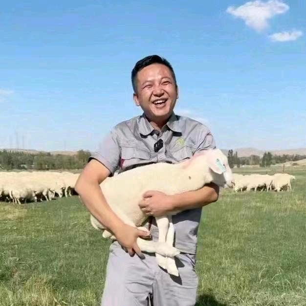 柴大官人的奶绵羊（元生农牧）