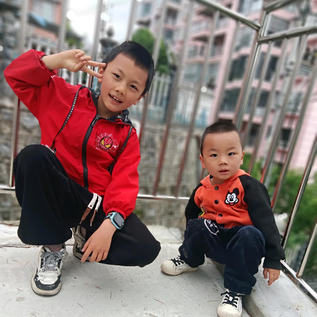家有两条龙