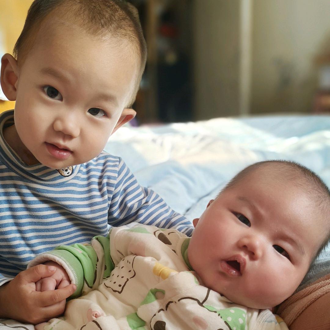 乌鲁木齐老华凌金谷小宠宠物用品批发