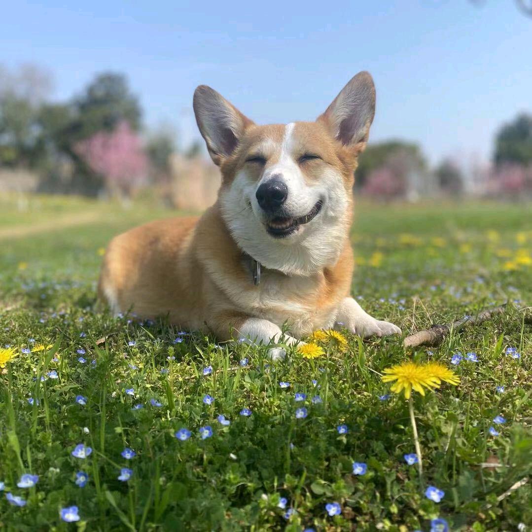 天下为公（去五台山版）