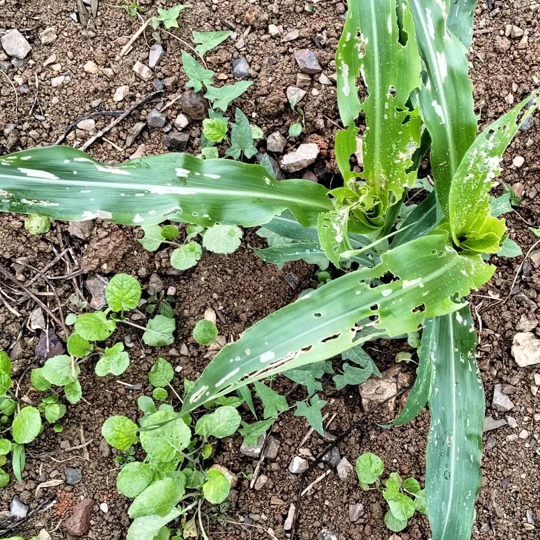 往后余生好好爱自己