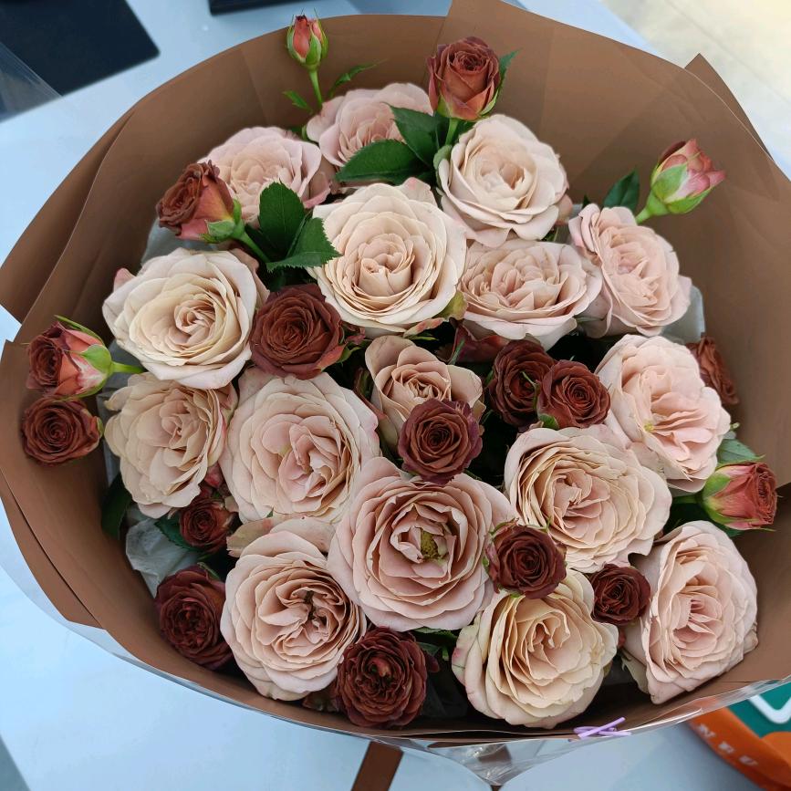 ℒᎭℯ⃝小迷ঞᩚ糊꧔ꦿ᭄