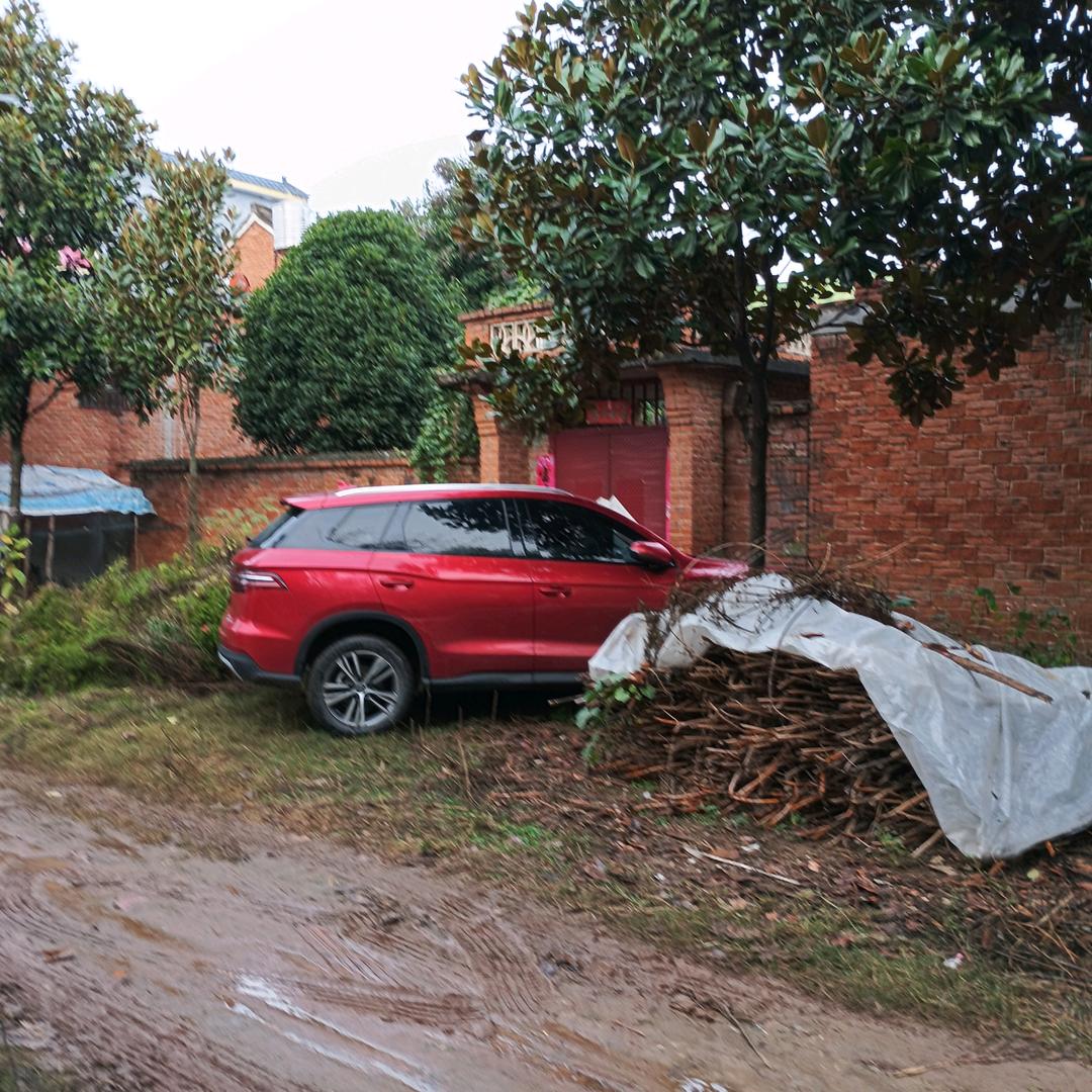 如果能回到从前