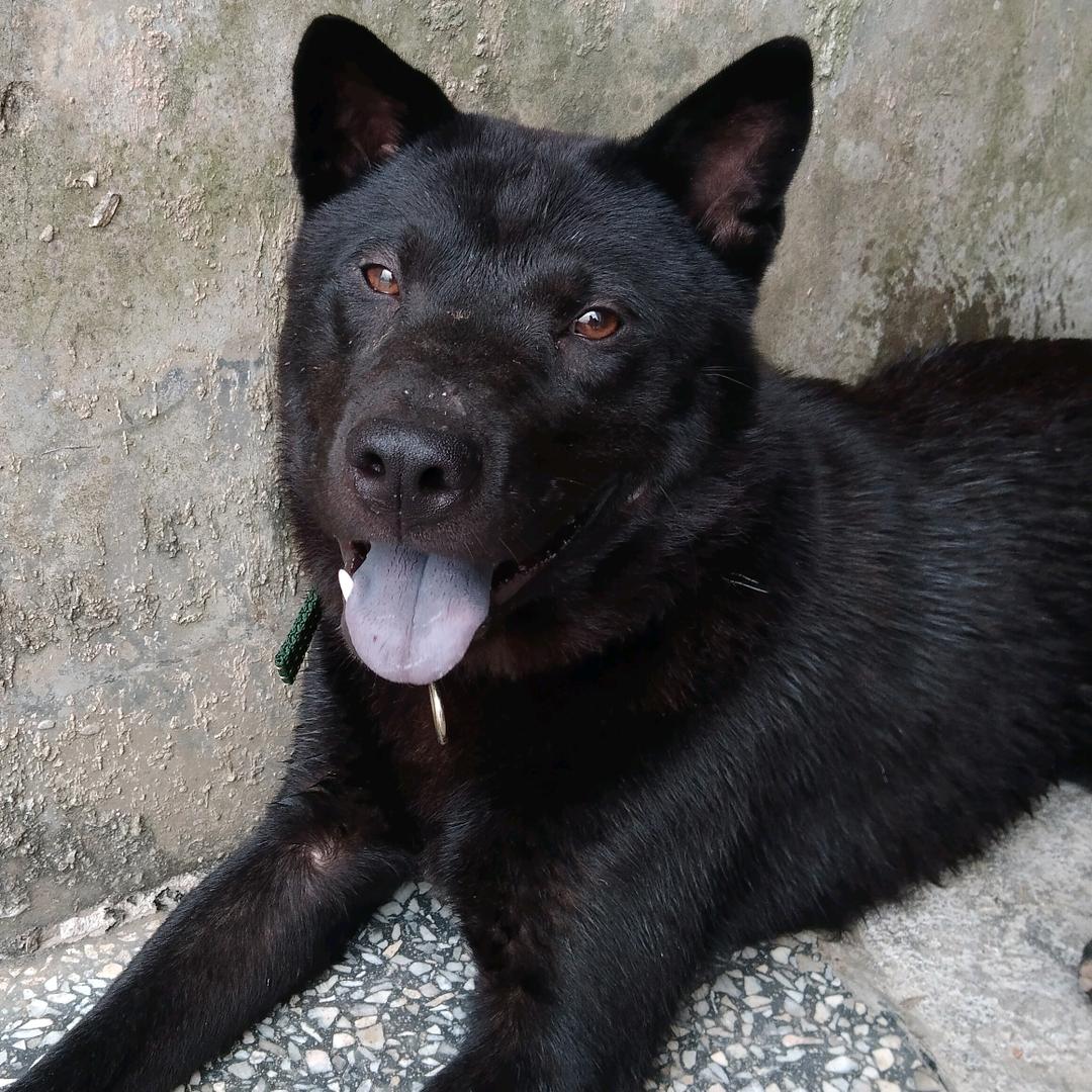 家鹏种养专业合作社