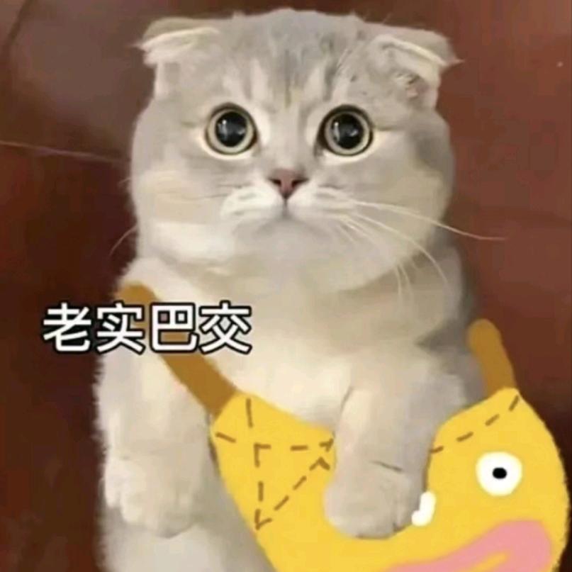 元牧执兽上岸补给站