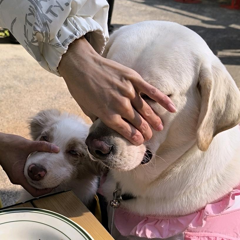 等等和冲动