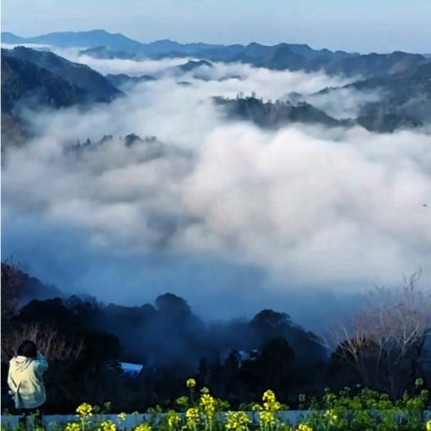 俗人闲客叶