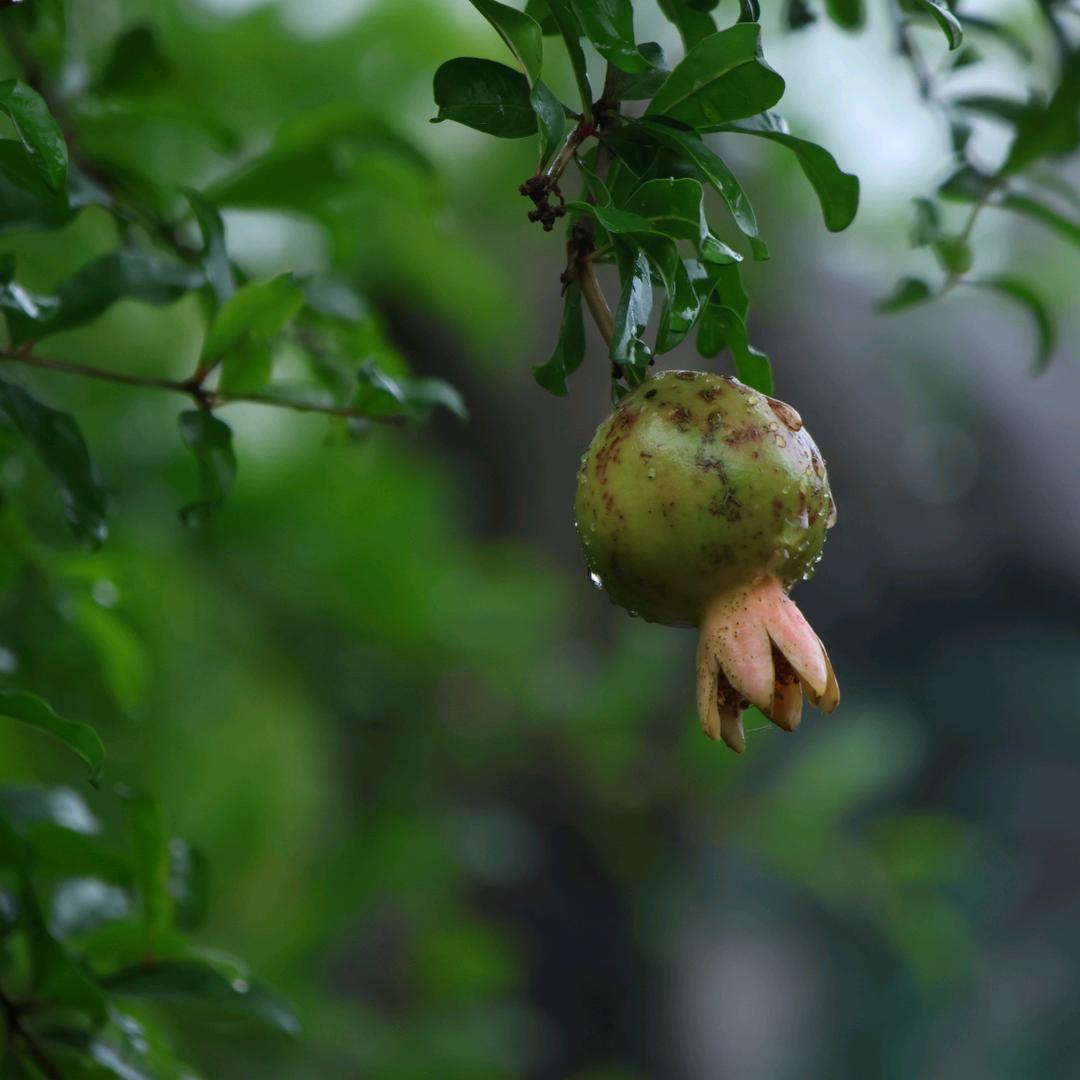 余生～爱～自己