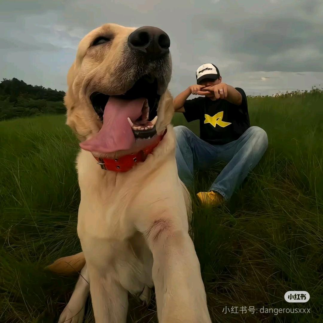 （๑⃙⃘´༥`๑⃙⃘) 𐂐