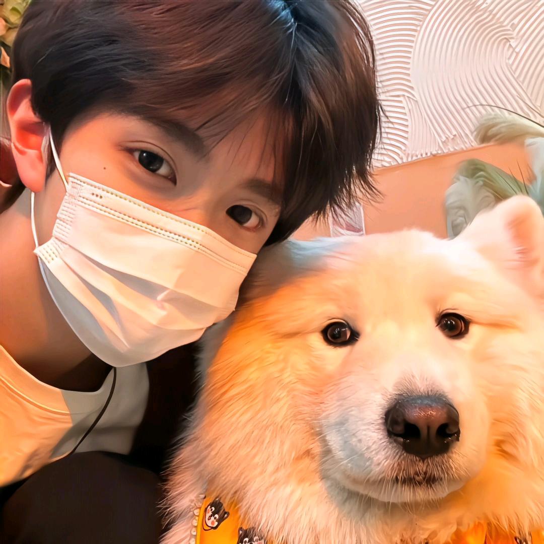 性感大蟑螂半夜嗦你痔疮