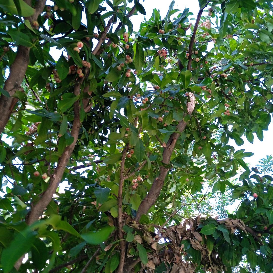 幸福美满