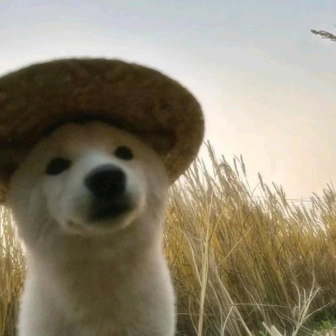 久安