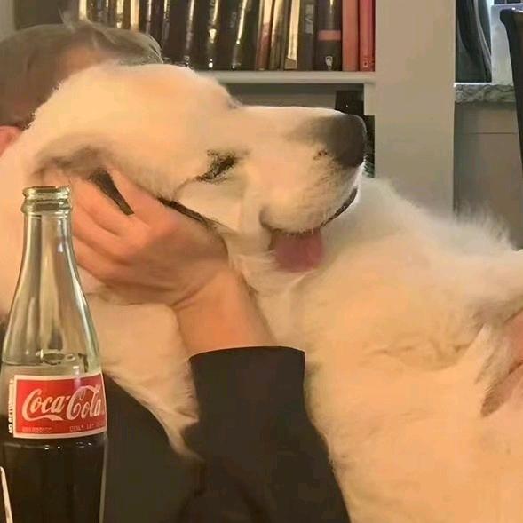 是向往自由的小韦吧 ( ˙˘˙ )