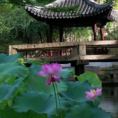 千敏字达文化甄选度能