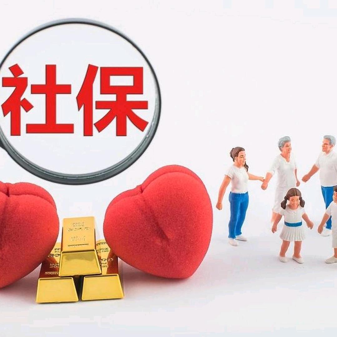 湖北云姐说社保