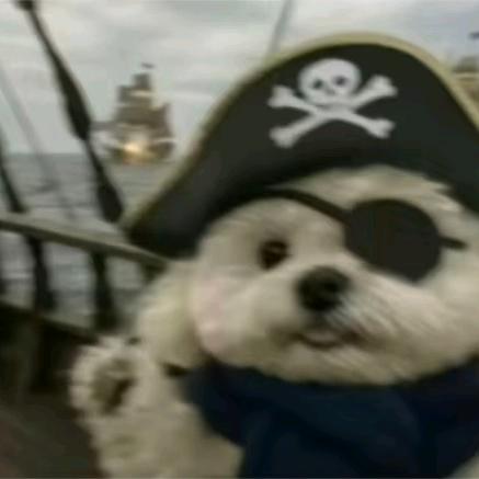 shiqi（三角洲行动）