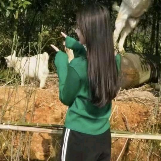 Wang,keer