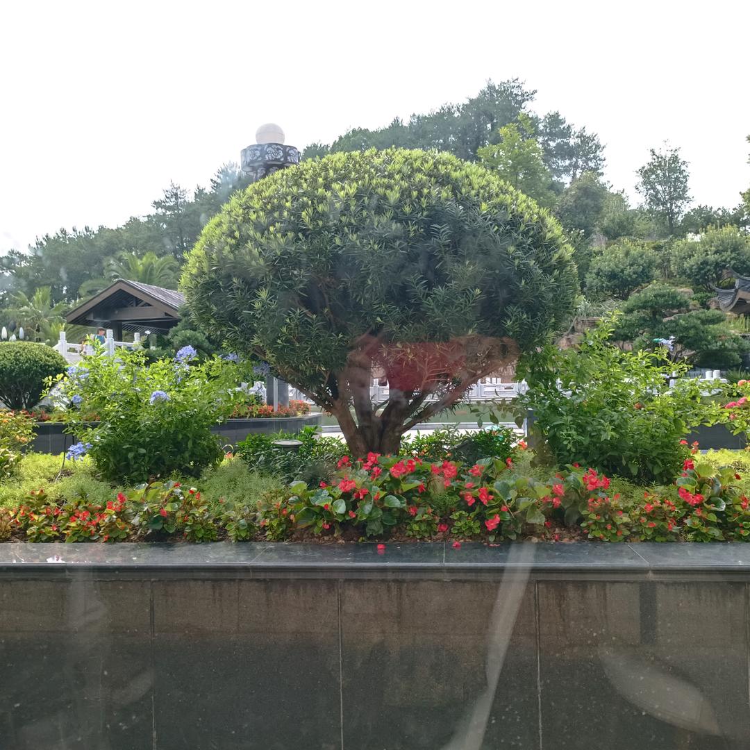 无人知道的小草