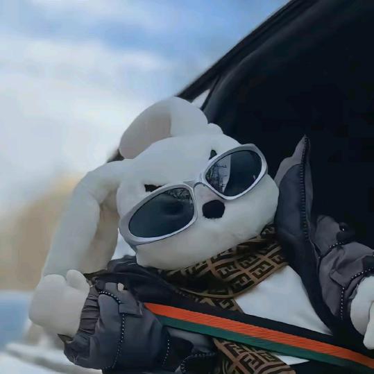 撼槐南