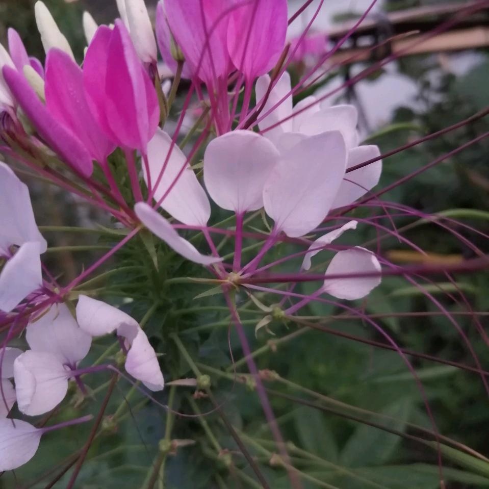 用户7296567924364笑口常开☺