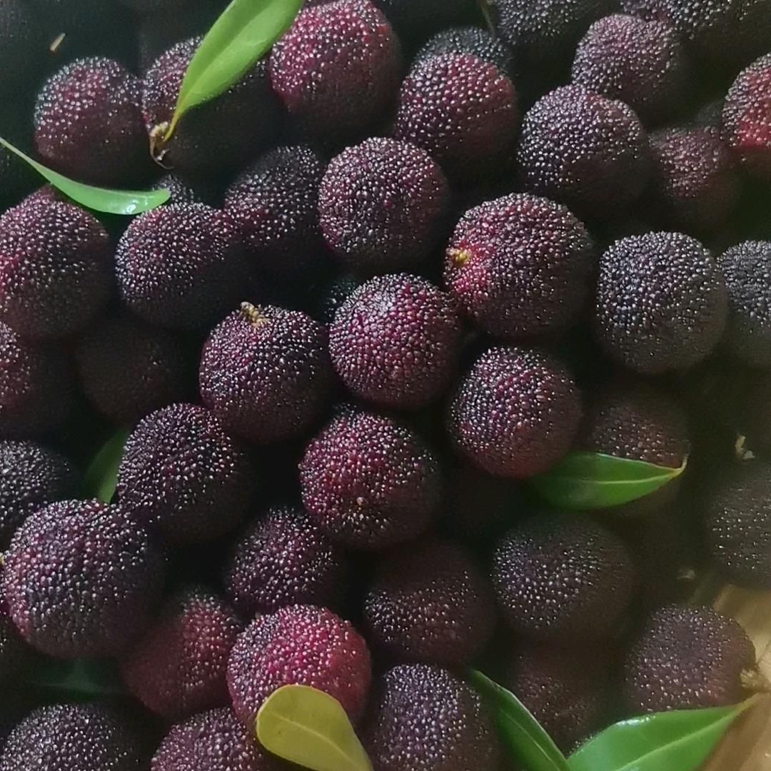 有福同享有难退群