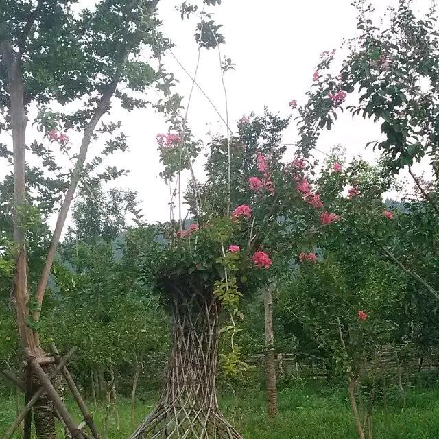 @李姐
