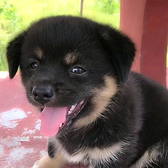 ℳ清꧔ꦿ້໌ᮨ醒ꦿღ᭄🍃