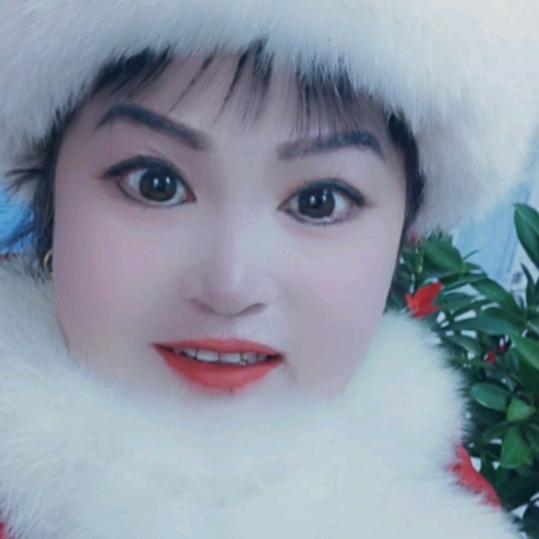 沙漠中的一朵玫瑰