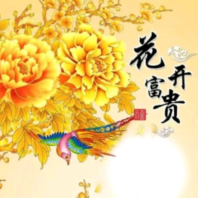 🌸花开富贵🌸