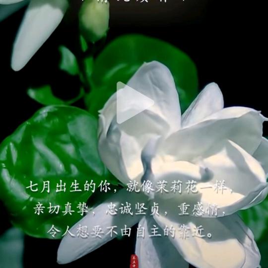 璐璐姐姐头像
