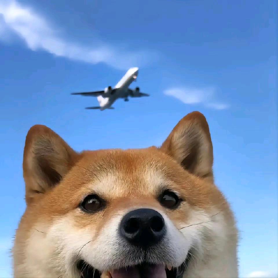 不关我的事