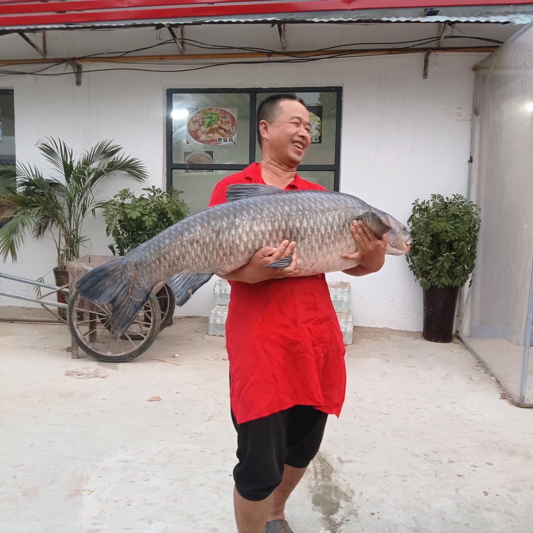月亮湾川蜀渔坊