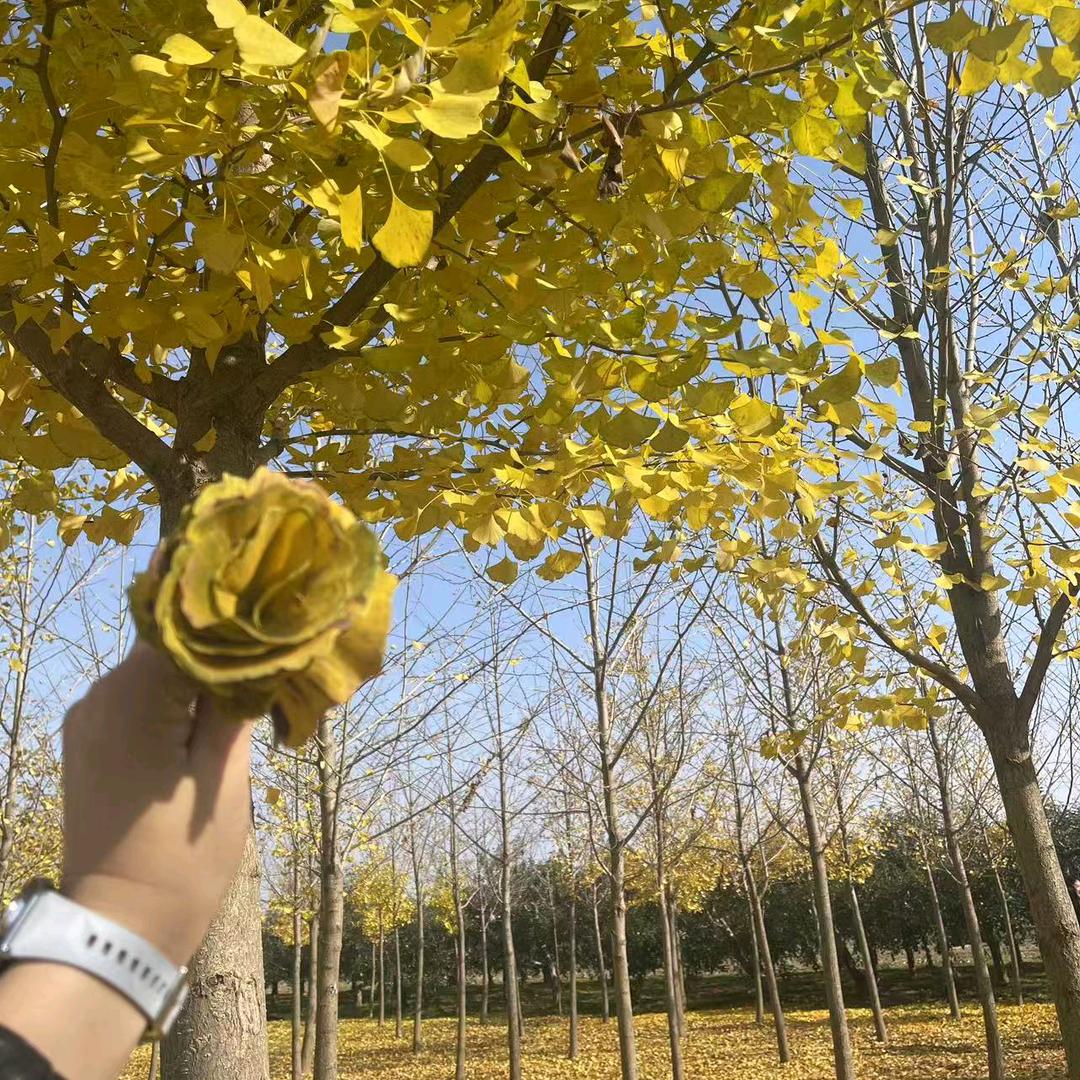 爱一点点