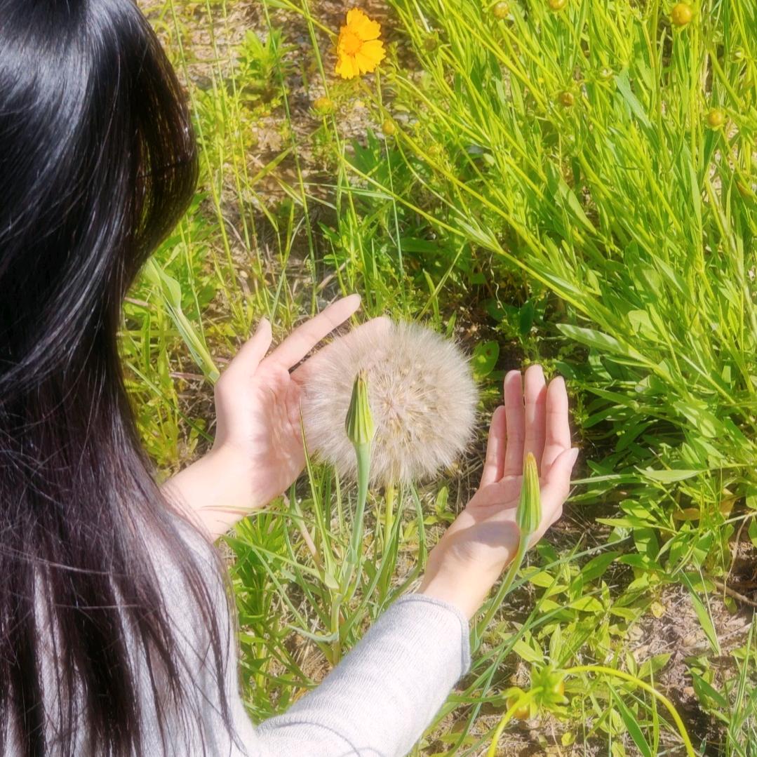 芜湖蒲公英说媒