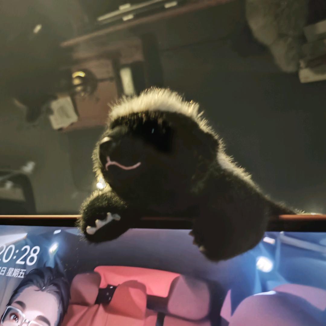 芋头🐒蛋饺～😙