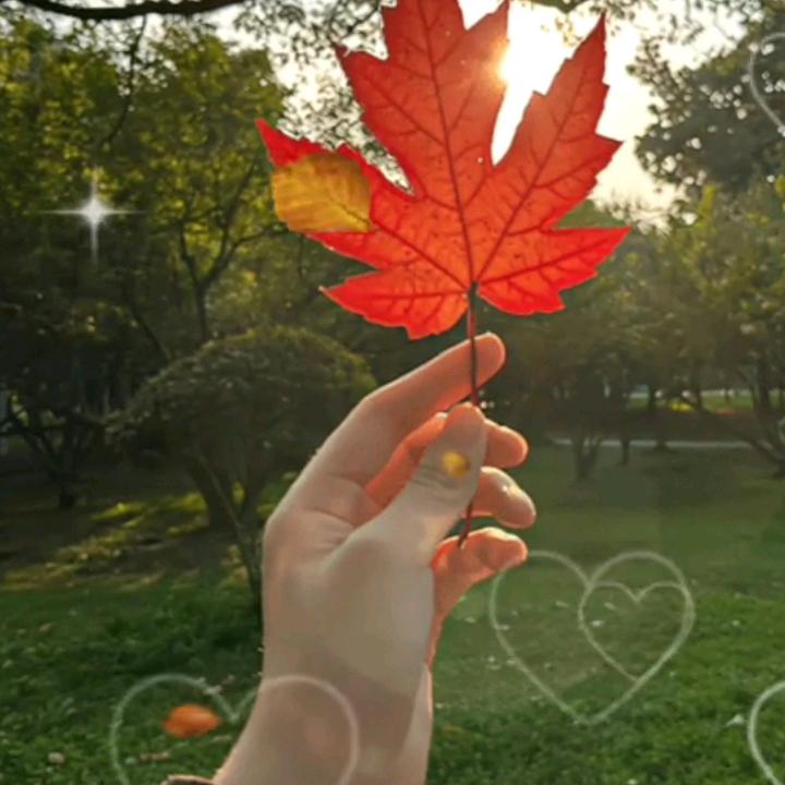 2025/4/5麦麦提卡她尔