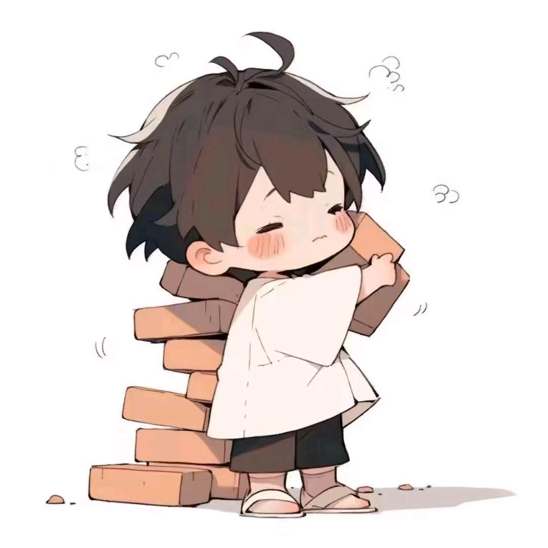 小张                🪳