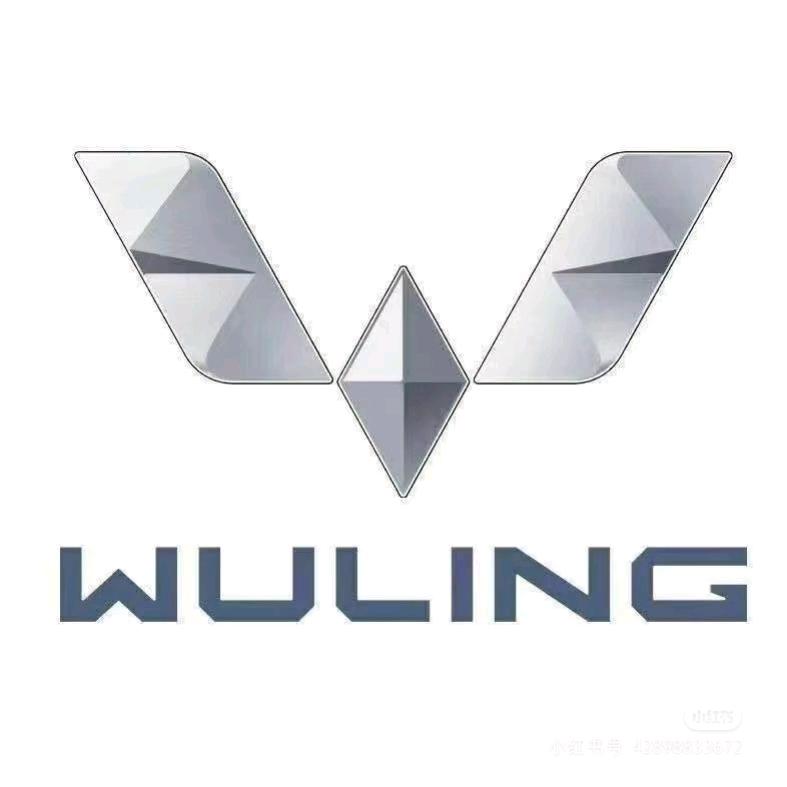 五菱新能源（石家庄飞骏店）