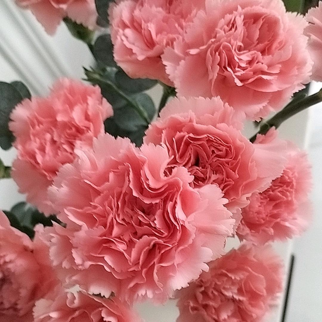 依~恋~~
