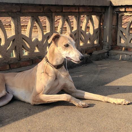 Aa中国🇨🇳移不动