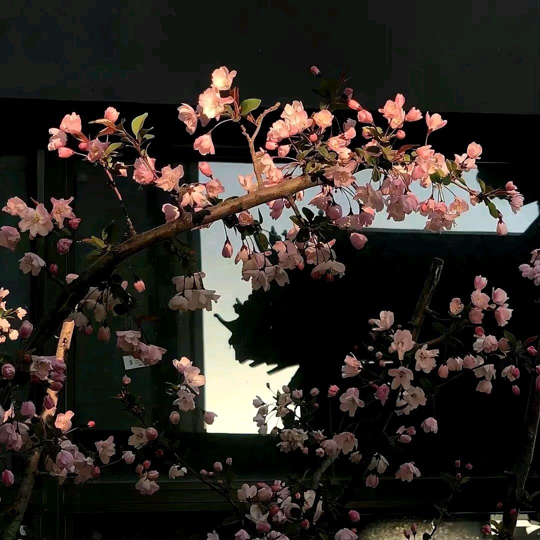 闫老师文化驿站1