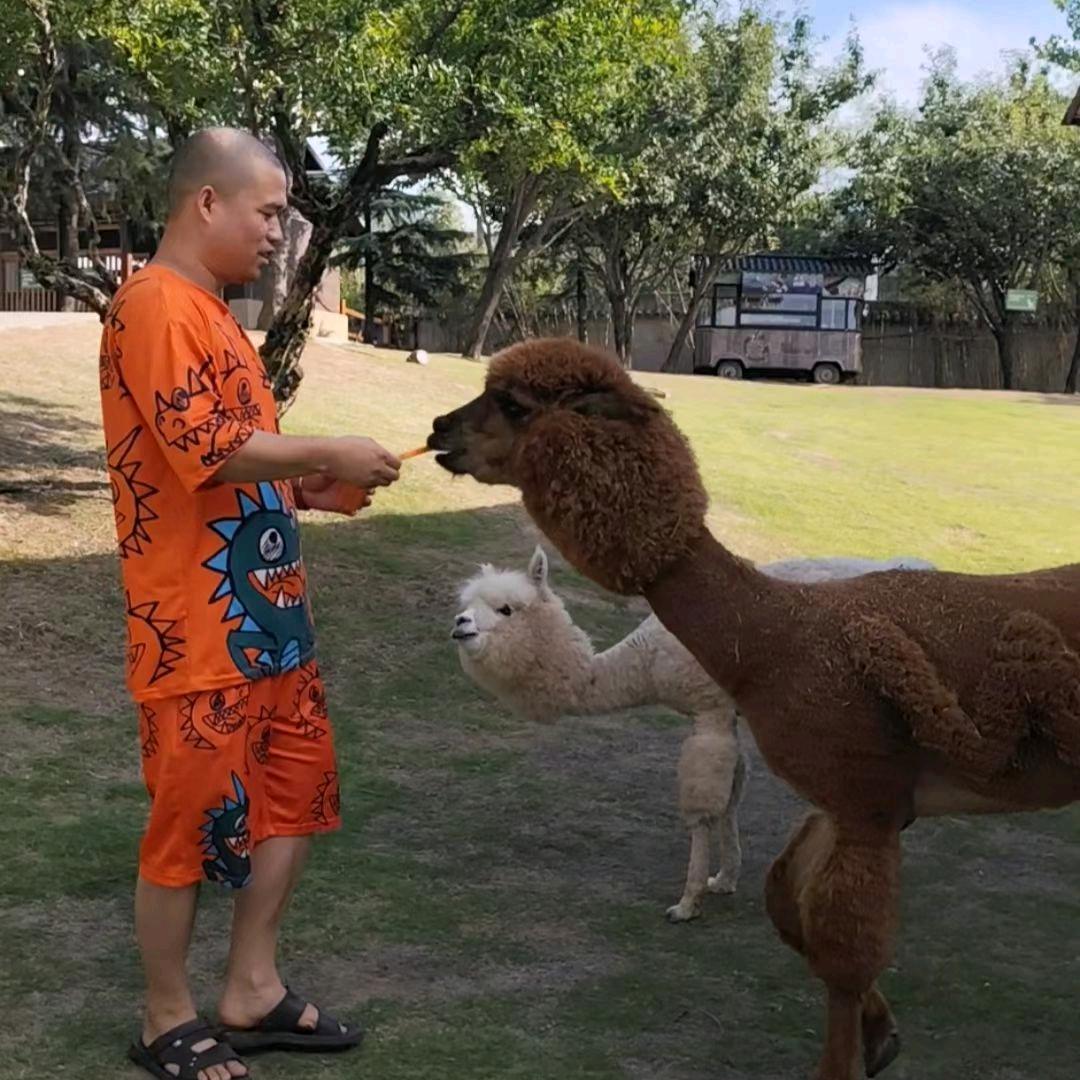 木容肤