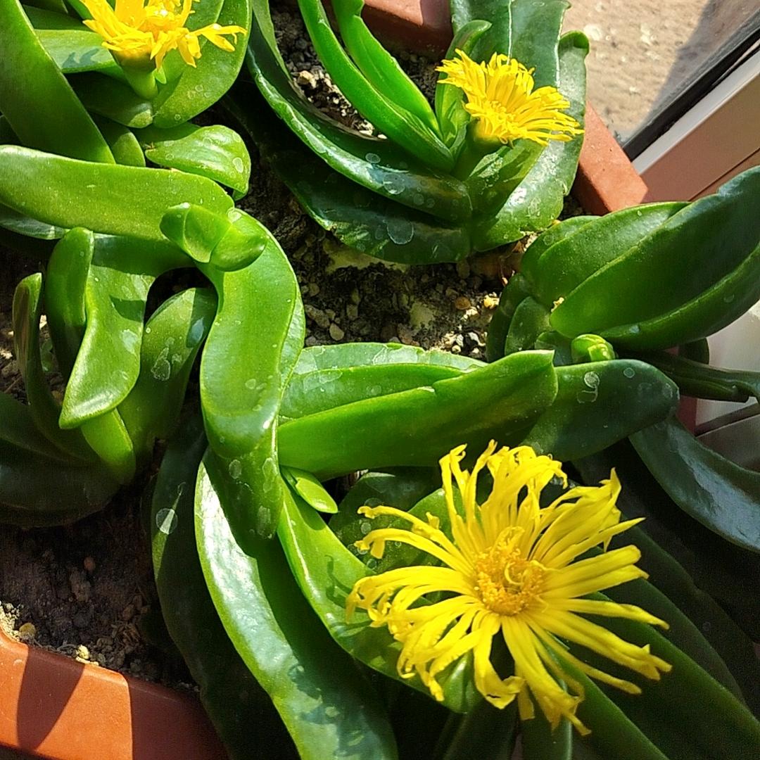 @阳光总在风雨后@